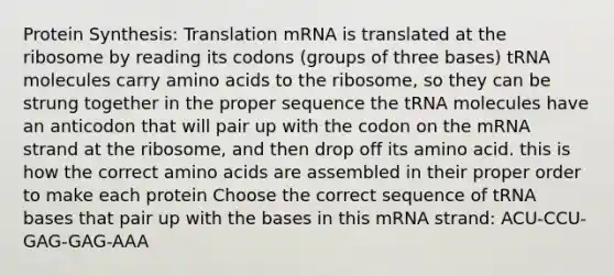 Protein Synthesis: Translation mRNA is translated at the ribosome by reading its codons (groups of three bases) tRNA molecules carry amino acids to the ribosome, so they can be strung together in the proper sequence the tRNA molecules have an anticodon that will pair up with the codon on the mRNA strand at the ribosome, and then drop off its amino acid. this is how the correct amino acids are assembled in their proper order to make each protein Choose the correct sequence of tRNA bases that pair up with the bases in this mRNA strand: ACU-CCU-GAG-GAG-AAA