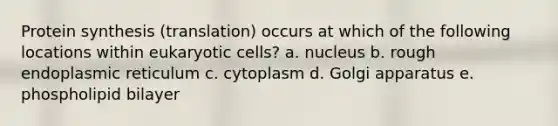 Protein synthesis (translation) occurs at which of the following locations within eukaryotic cells? a. nucleus b. rough endoplasmic reticulum c. cytoplasm d. Golgi apparatus e. phospholipid bilayer