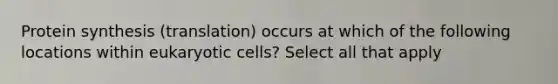 Protein synthesis (translation) occurs at which of the following locations within eukaryotic cells? Select all that apply