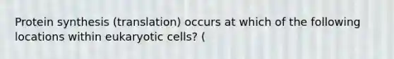 Protein synthesis (translation) occurs at which of the following locations within eukaryotic cells? (