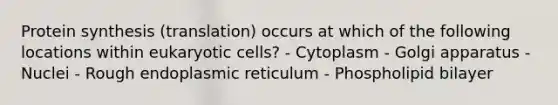 Protein synthesis (translation) occurs at which of the following locations within eukaryotic cells? - Cytoplasm - Golgi apparatus - Nuclei - Rough endoplasmic reticulum - Phospholipid bilayer