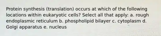 Protein synthesis (translation) occurs at which of the following locations within eukaryotic cells? Select all that apply: a. rough endoplasmic reticulum b. phospholipid bilayer c. cytoplasm d. Golgi apparatus e. nucleus