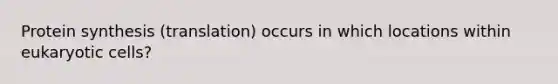 Protein synthesis (translation) occurs in which locations within eukaryotic cells?