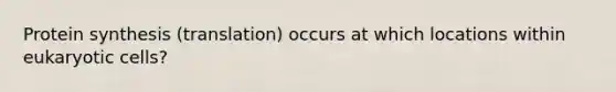 Protein synthesis (translation) occurs at which locations within eukaryotic cells?