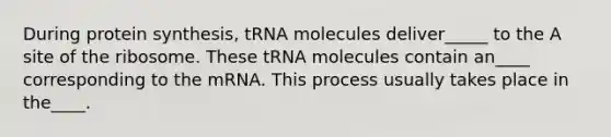 During protein synthesis, tRNA molecules deliver_____ to the A site of the ribosome. These tRNA molecules contain an____ corresponding to the mRNA. This process usually takes place in the____.