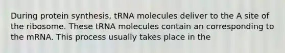 During protein synthesis, tRNA molecules deliver to the A site of the ribosome. These tRNA molecules contain an corresponding to the mRNA. This process usually takes place in the