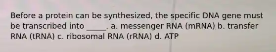 Before a protein can be synthesized, the specific DNA gene must be transcribed into _____. a. messenger RNA (mRNA) b. transfer RNA (tRNA) c. ribosomal RNA (rRNA) d. ATP