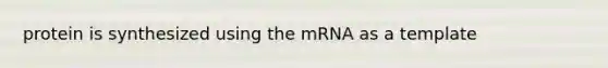 protein is synthesized using the mRNA as a template