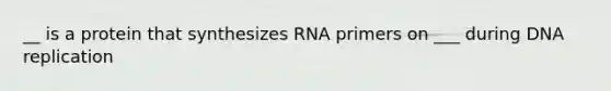 __ is a protein that synthesizes RNA primers on ___ during DNA replication