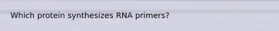 Which protein synthesizes RNA primers?