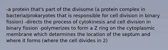 -a protein that's part of the divisome (a protein complex in bacteria/prokaryotes that is responsible for cell division in binary fission) -directs the process of cytokinesis and cell division in binary fission -polymerizes to form a Z ring on the cytoplasmic membrane which determines the location of the septum and where it forms (where the cell divides in 2)