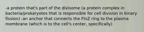 -a protein that's part of the divisome (a protein complex in bacteria/prokaryotes that is responsible for cell division in binary fission) -an anchor that connects the FtsZ ring to the plasma membrane (which is to the cell's center, specifically)