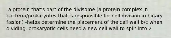 -a protein that's part of the divisome (a protein complex in bacteria/prokaryotes that is responsible for cell division in binary fission) -helps determine the placement of the cell wall b/c when dividing, prokaryotic cells need a new cell wall to split into 2