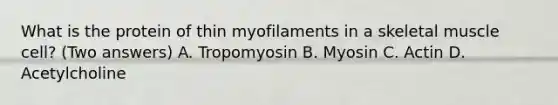 What is the protein of thin myofilaments in a skeletal muscle cell? (Two answers) A. Tropomyosin B. Myosin C. Actin D. Acetylcholine