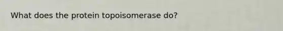 What does the protein topoisomerase do?