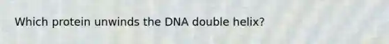 Which protein unwinds the DNA double helix?