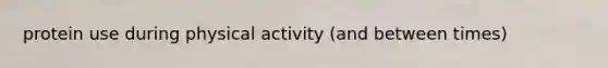protein use during physical activity (and between times)