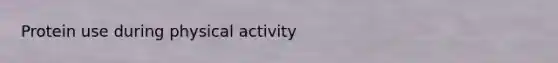 Protein use during physical activity