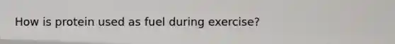 How is protein used as fuel during exercise?