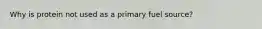 Why is protein not used as a primary fuel source?
