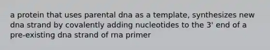 a protein that uses parental dna as a template, synthesizes new dna strand by covalently adding nucleotides to the 3' end of a pre-existing dna strand of rna primer