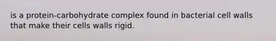 is a protein-carbohydrate complex found in bacterial cell walls that make their cells walls rigid.