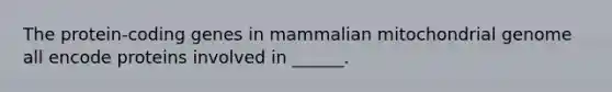 The protein-coding genes in mammalian mitochondrial genome all encode proteins involved in ______.