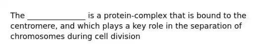 The _______________ is a protein-complex that is bound to the centromere, and which plays a key role in the separation of chromosomes during cell division