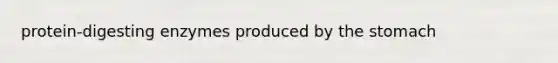 protein-digesting enzymes produced by the stomach