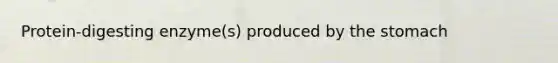 Protein-digesting enzyme(s) produced by the stomach