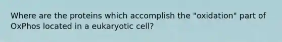 Where are the proteins which accomplish the "oxidation" part of OxPhos located in a eukaryotic cell?