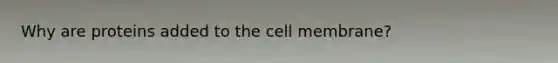 Why are proteins added to the cell membrane?