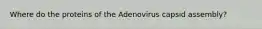 Where do the proteins of the Adenovirus capsid assembly?