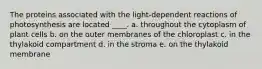 The proteins associated with the light-dependent reactions of photosynthesis are located ____.​ a. ​throughout the cytoplasm of plant cells b. ​on the outer membranes of the chloroplast c. in the thylakoid compartment​ d. ​in the stroma e. ​on the thylakoid membrane