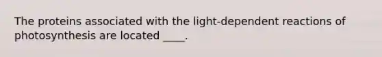 The proteins associated with the light-dependent reactions of photosynthesis are located ____.