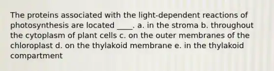 The proteins associated with the light-dependent reactions of photosynthesis are located ____. a. in the stroma b. throughout the cytoplasm of plant cells c. on the outer membranes of the chloroplast d. on the thylakoid membrane e. in the thylakoid compartment