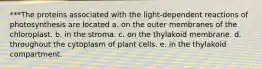 ***The proteins associated with the light-dependent reactions of photosynthesis are located a. on the outer membranes of the chloroplast. b. in the stroma. c. on the thylakoid membrane. d. throughout the cytoplasm of plant cells. e. in the thylakoid compartment.