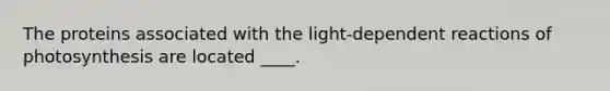 The proteins associated with the light-dependent reactions of photosynthesis are located ____.​