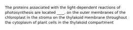 The proteins associated with the light-dependent reactions of photosynthesis are located ____.​ ​on the outer membranes of the chloroplast ​in the stroma ​on the thylakoid membrane ​throughout the cytoplasm of plant cells in the thylakoid compartment​