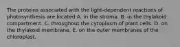 The proteins associated with the light-dependent reactions of photosynthesis are located A. in the stroma. B. in the thylakoid compartment. C. throughout the cytoplasm of plant cells. D. on the thylakoid membrane. E. on the outer membranes of the chloroplast.