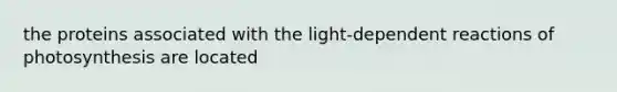 the proteins associated with the light-dependent reactions of photosynthesis are located