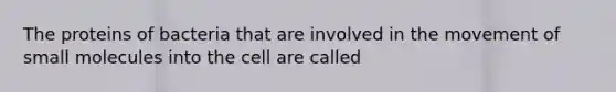 The proteins of bacteria that are involved in the movement of small molecules into the cell are called