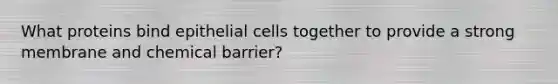 What proteins bind epithelial cells together to provide a strong membrane and chemical barrier?