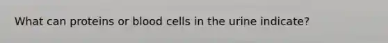 What can proteins or blood cells in the urine indicate?