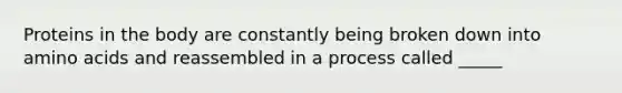 Proteins in the body are constantly being broken down into amino acids and reassembled in a process called _____