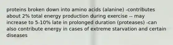 proteins broken down into amino acids (alanine) -contributes about 2% total energy production during exercise -- may increase to 5-10% late in prolonged duration (proteases) -can also contribute energy in cases of extreme starvation and certain diseases