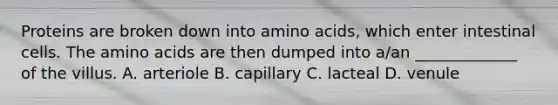 Proteins are broken down into <a href='https://www.questionai.com/knowledge/k9gb720LCl-amino-acids' class='anchor-knowledge'>amino acids</a>, which enter intestinal cells. The amino acids are then dumped into a/an _____________ of the villus. A. arteriole B. capillary C. lacteal D. venule