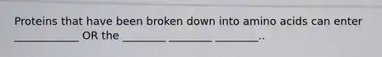Proteins that have been broken down into amino acids can enter ____________ OR the ________ ________ ________..