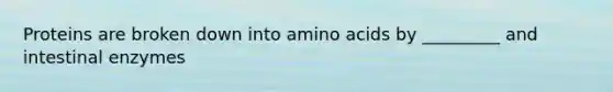 Proteins are broken down into <a href='https://www.questionai.com/knowledge/k9gb720LCl-amino-acids' class='anchor-knowledge'>amino acids</a> by _________ and intestinal enzymes