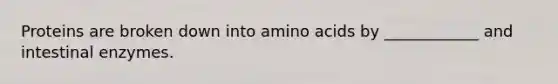 Proteins are broken down into amino acids by ____________ and intestinal enzymes.